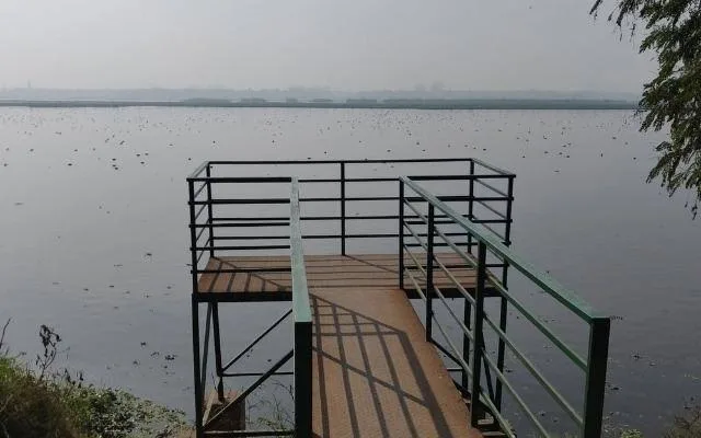 Okhla Bird Sanctuary