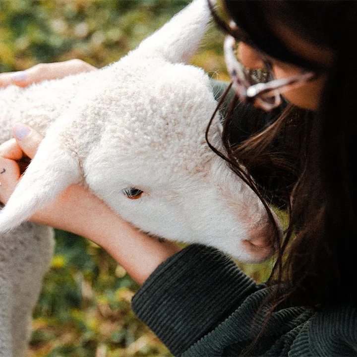 Animal Liberation NSW