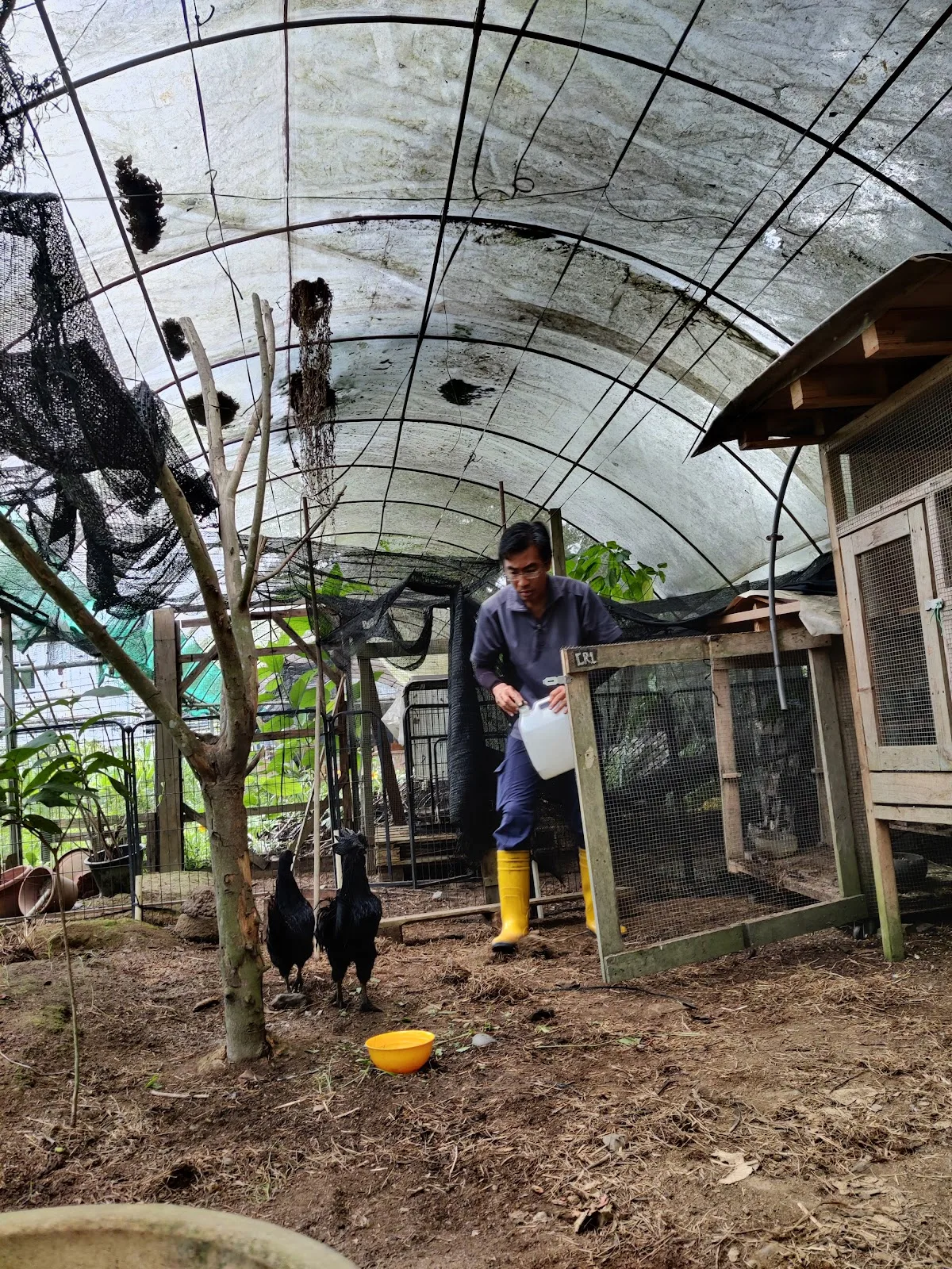 Ground-Up Initiative