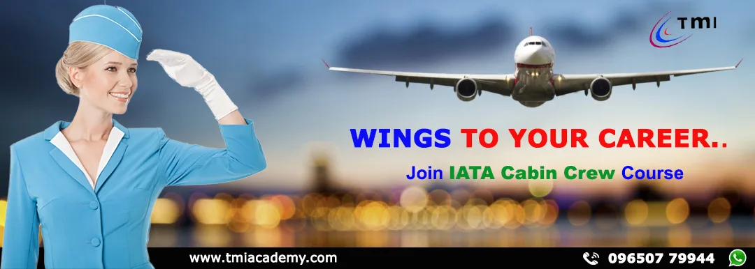 TMI Academy Of Travel Tourism & Aviation Studies