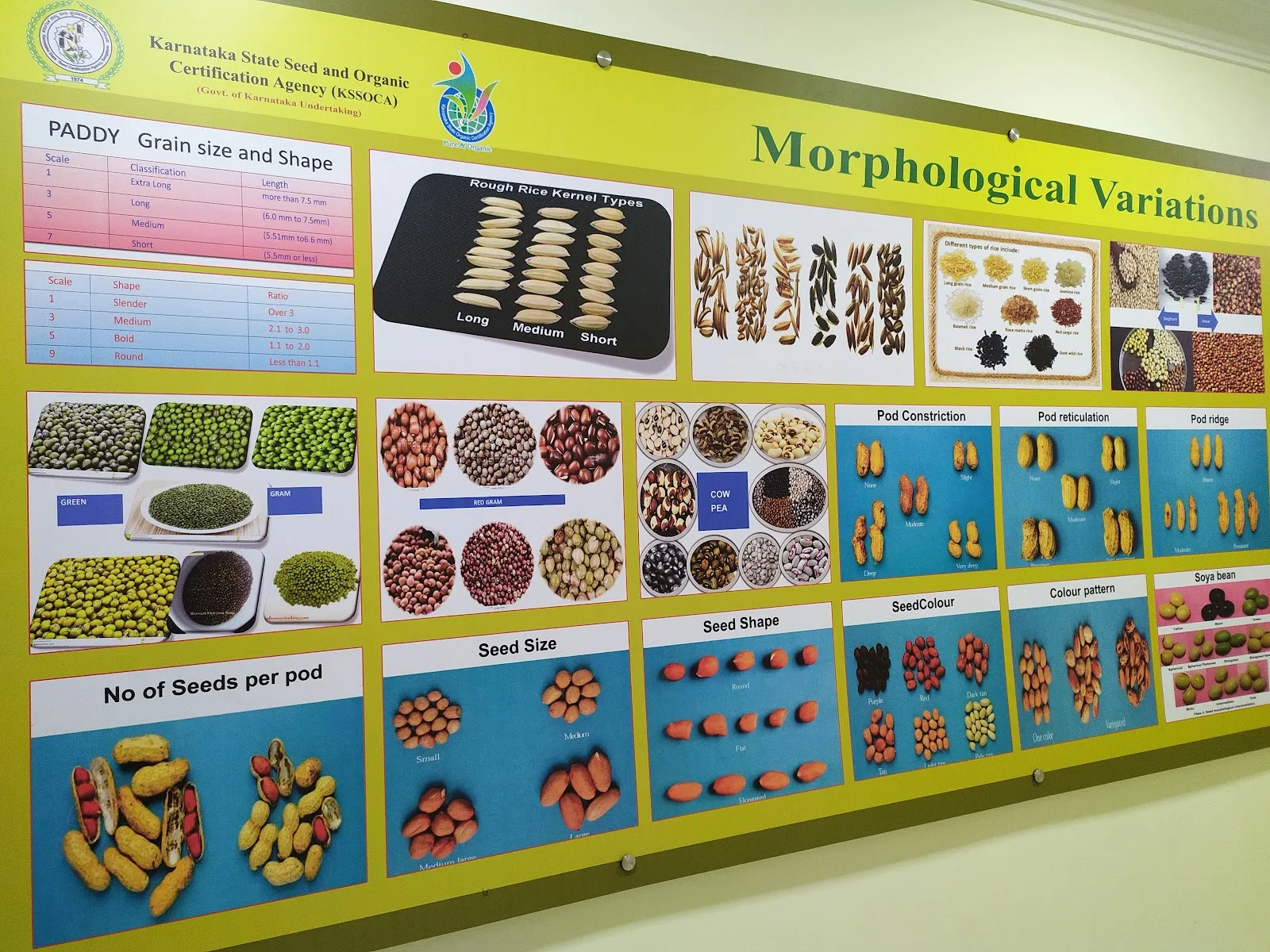 Karnataka State Seed And Organic Certification Agency