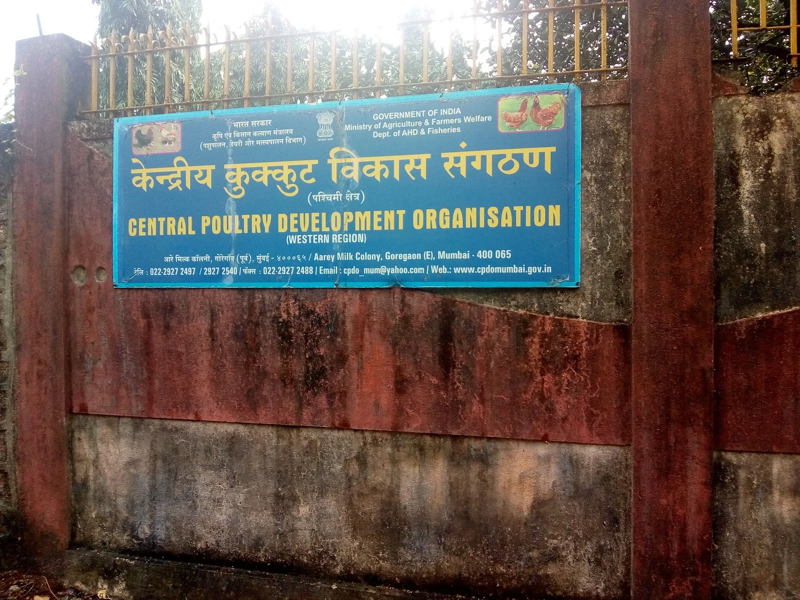 Central Poultry Development Organisation (Western Region)