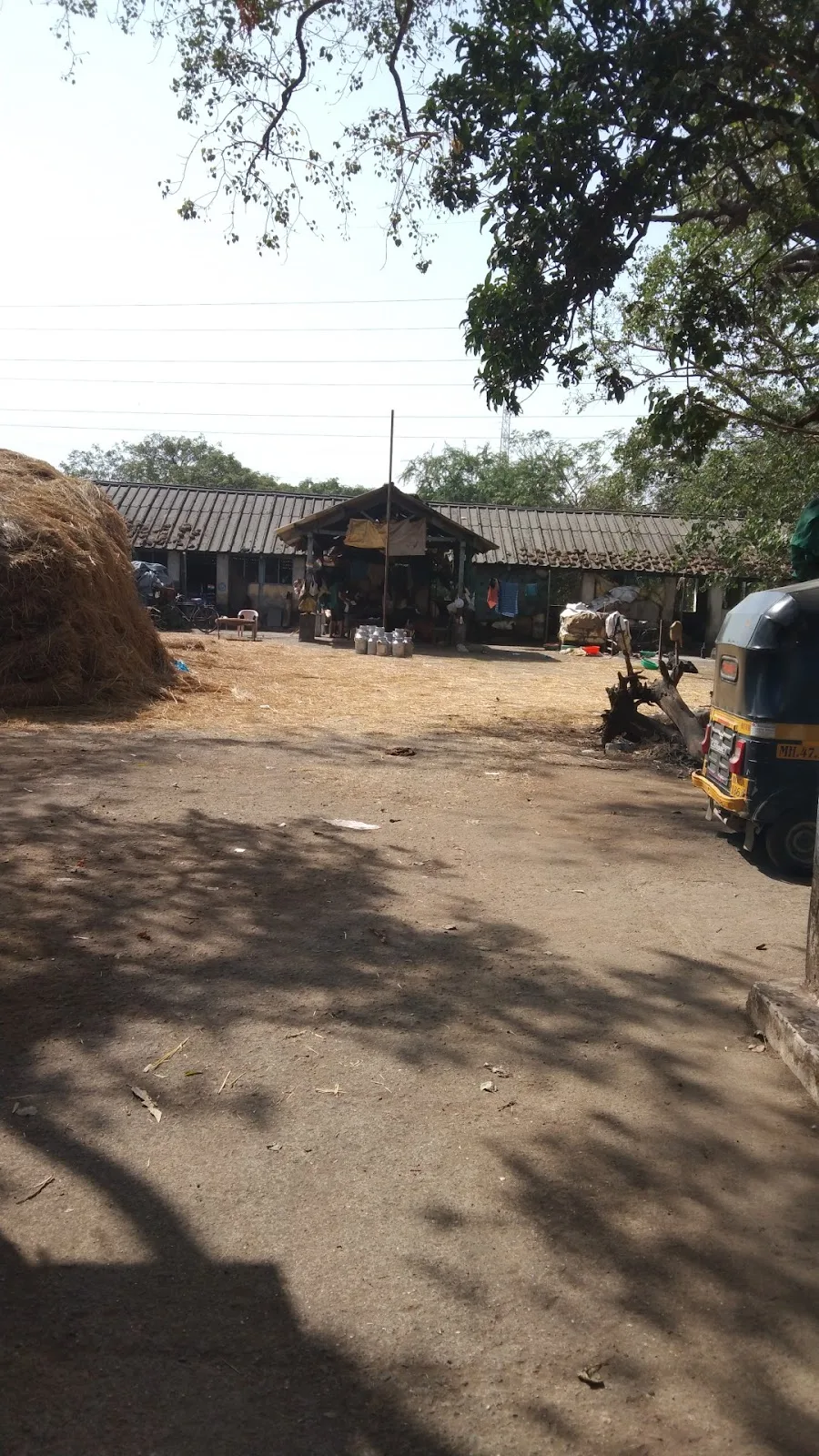 Central Poultry Development Organisation (Western Region)