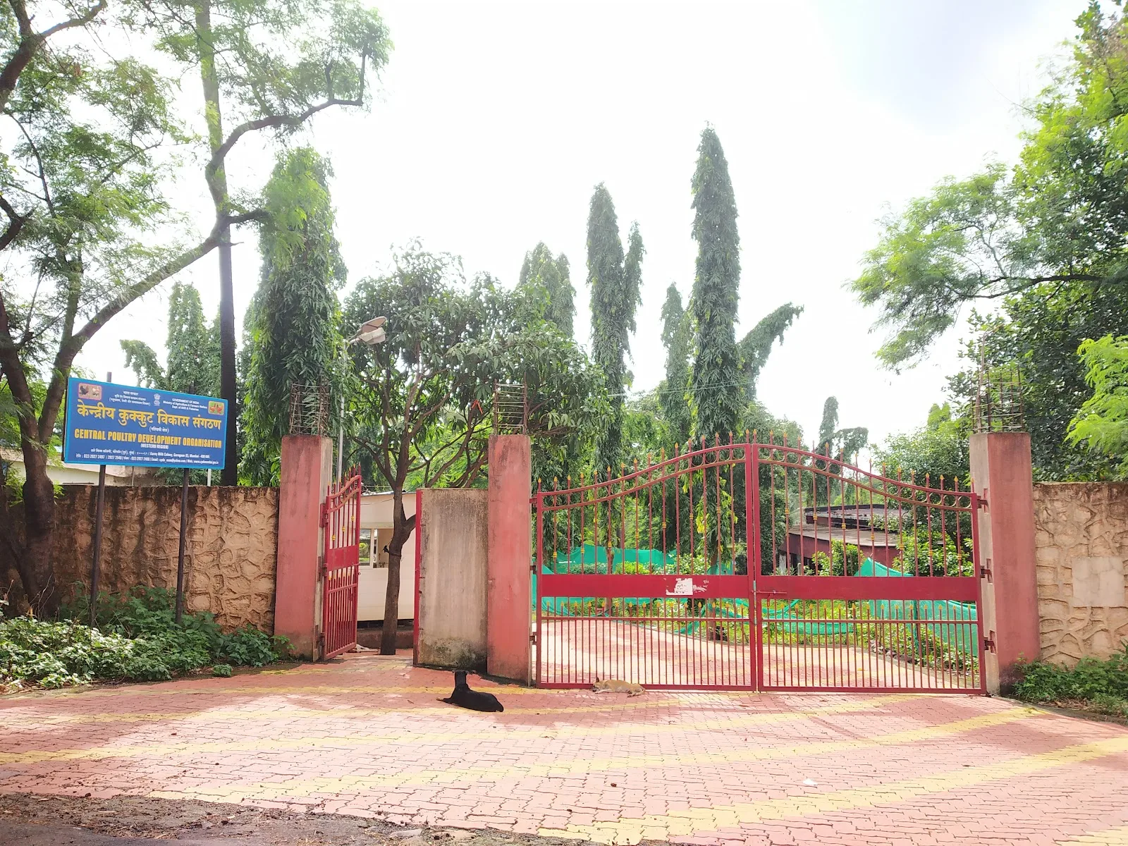 Central Poultry Development Organisation (Western Region)