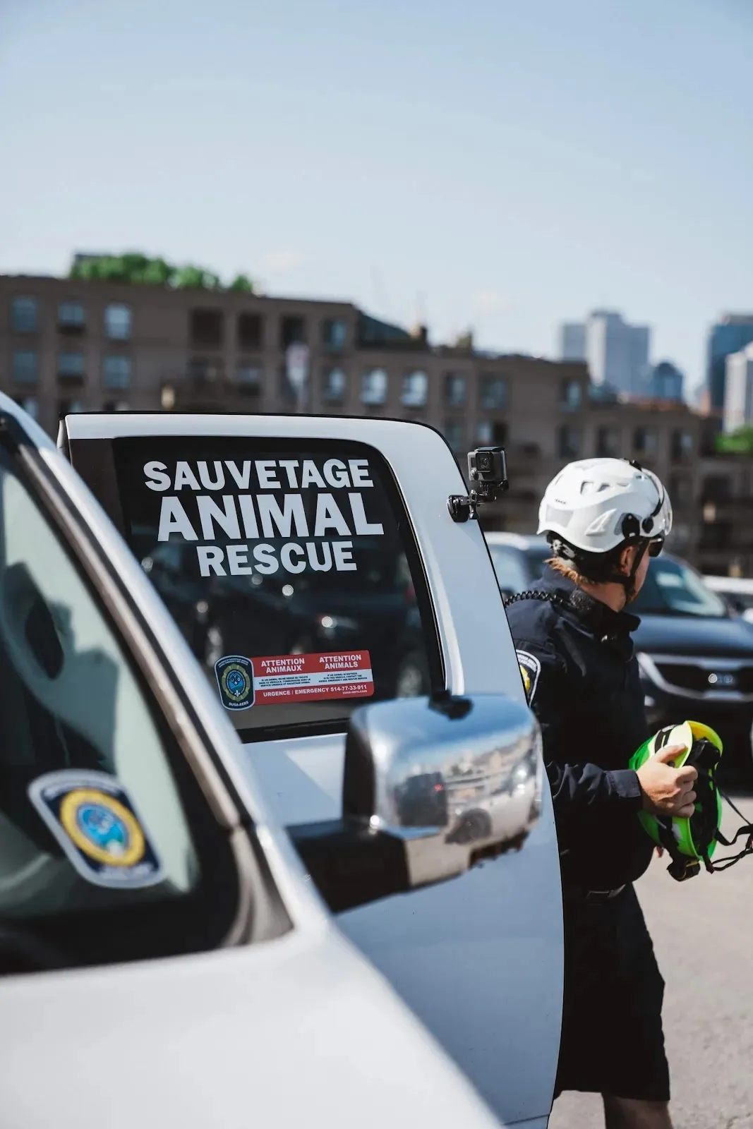 Sauvetage Animal Rescue