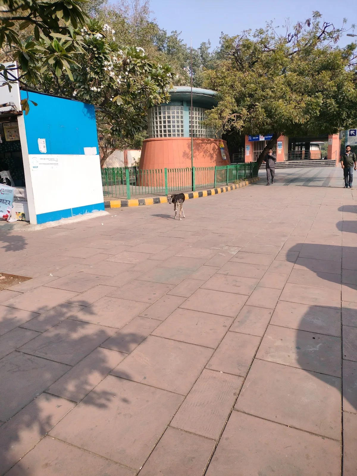 India Animal Fund