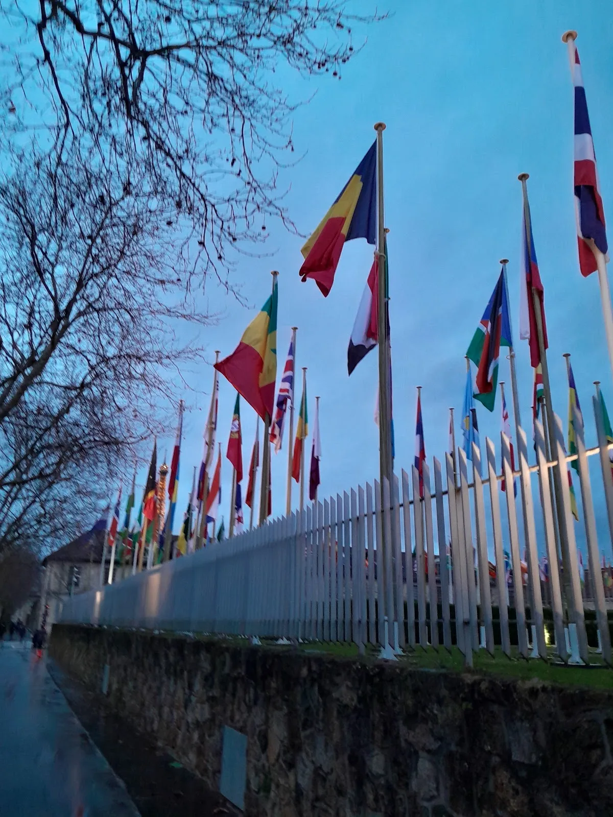 UNICEF France