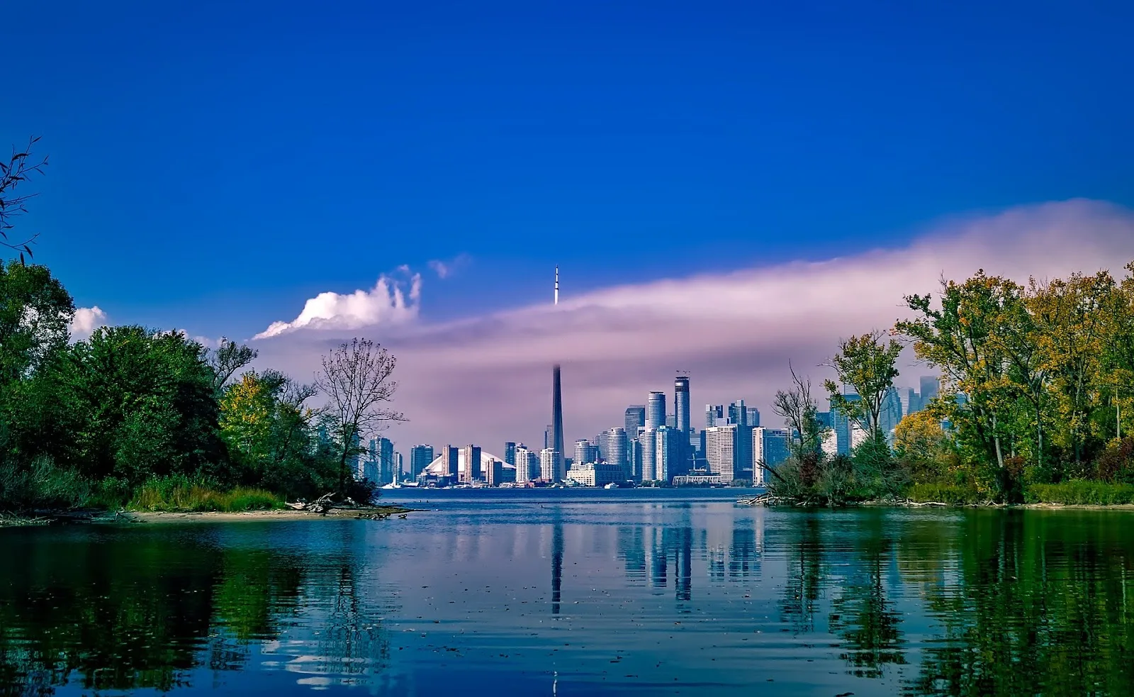 Toronto and Region Conservation Foundation