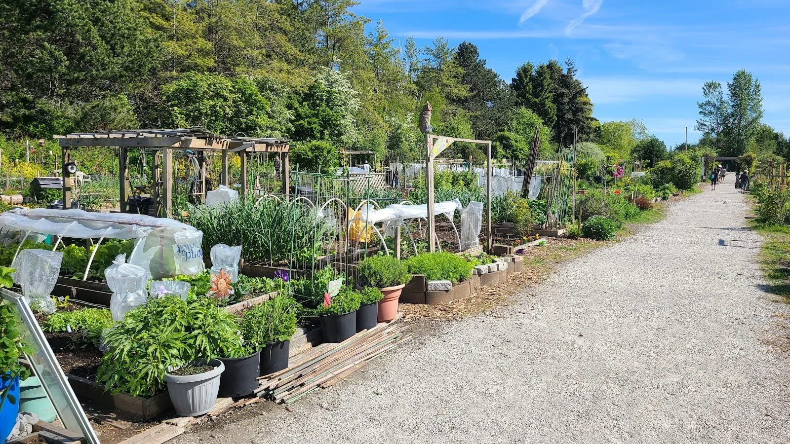The Sharing Farm Society