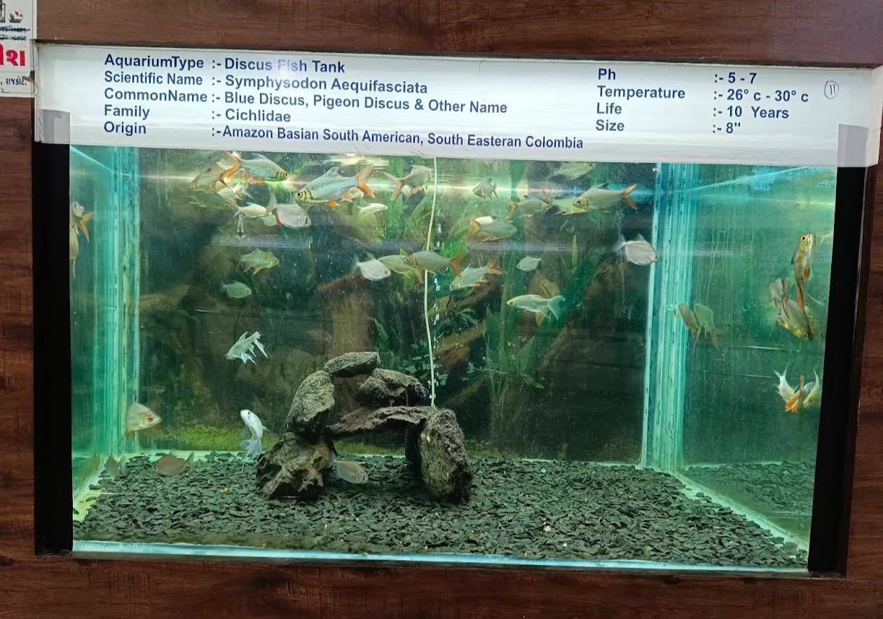 Fish Home